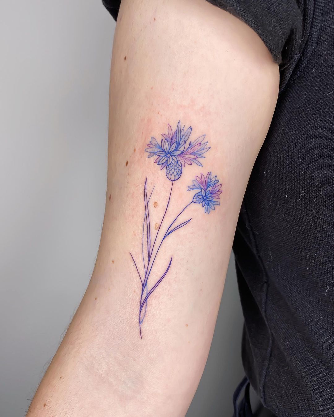 photo tattoo cornflower 03032019 112  idea for a tattoo with cornflower   tattoovaluenet  tattoovaluenet