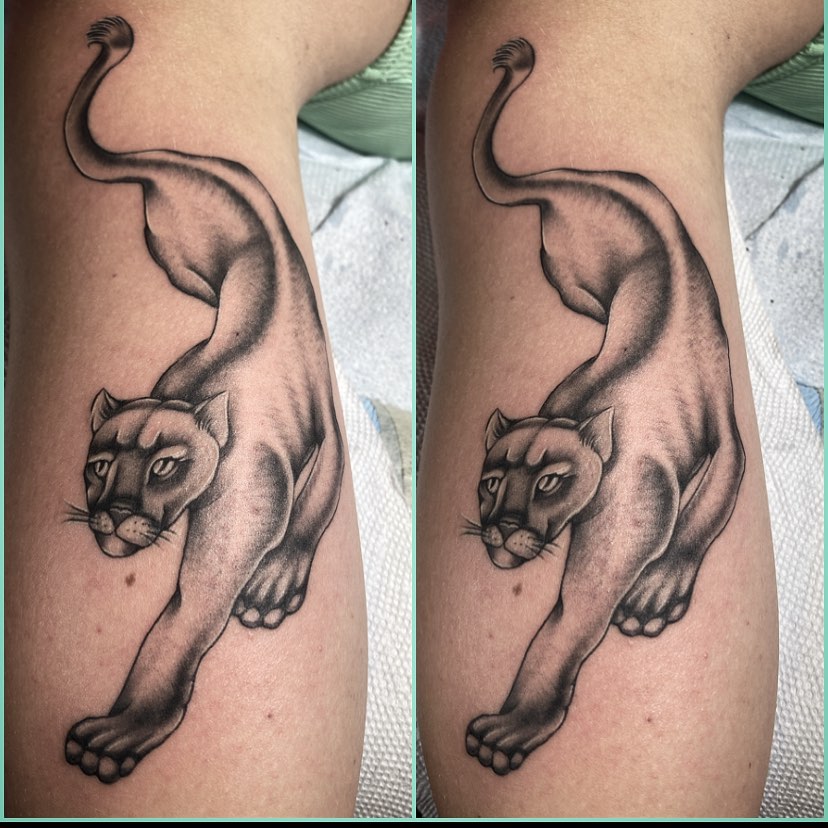 cougar arm tattoo