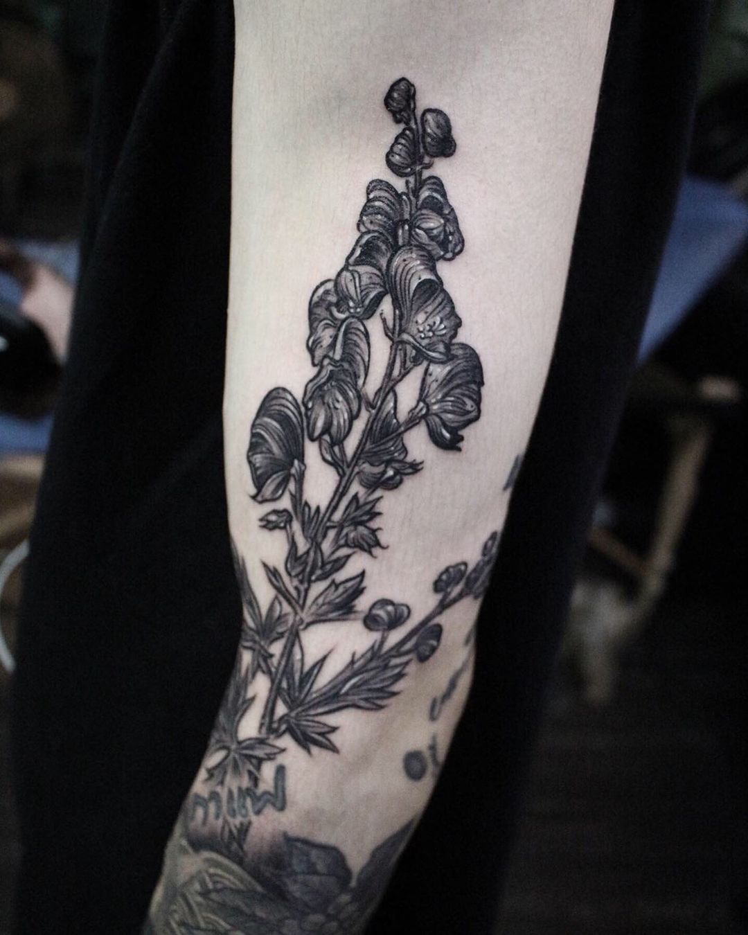 Aconite arm tattoo