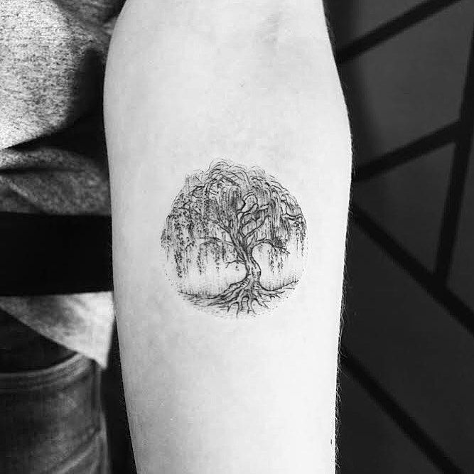 weeping willow arm tattoo