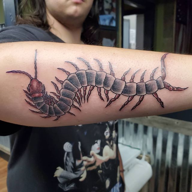 Centipede arm tattoo