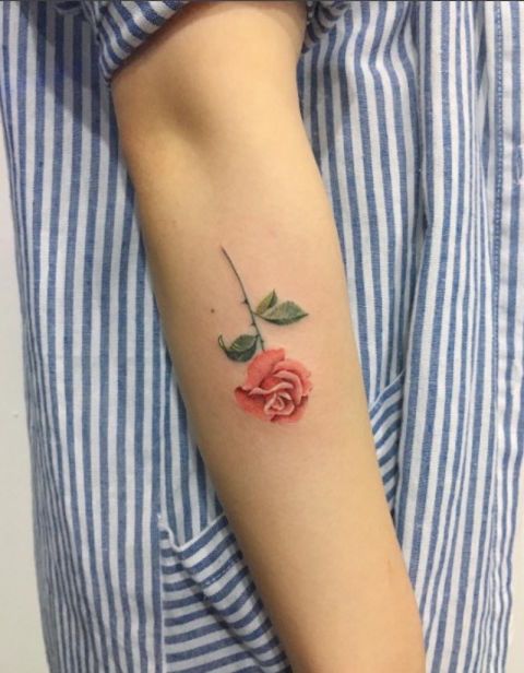 Upside down rose arm tattoo