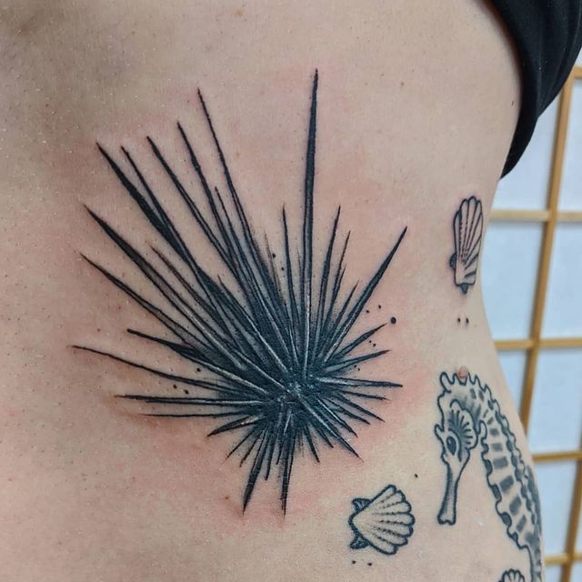 Sea urchin rib tattoo