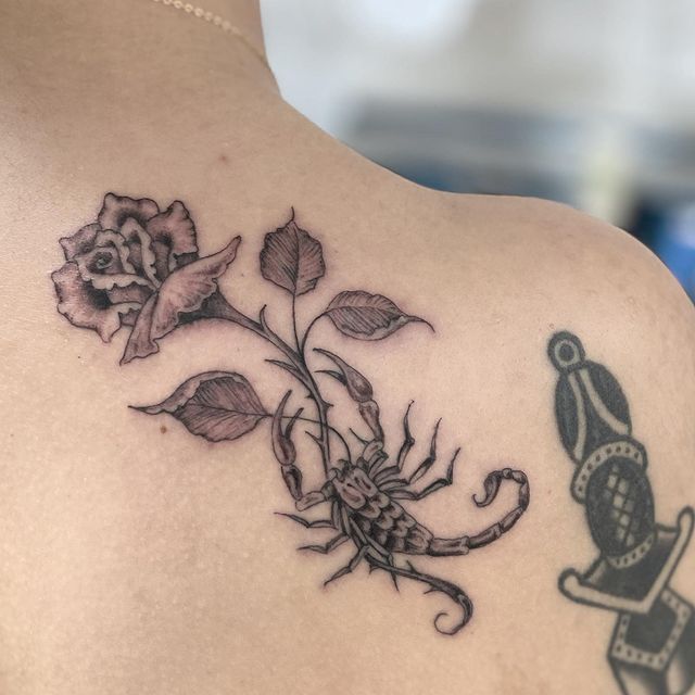 Scorpion with a Rose back Tattoo